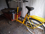 Bakfiet Dutch Bike for Sale