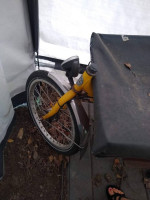 Bakfiet Dutch Bike for Sale