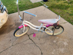 Schwinn Girls Bike