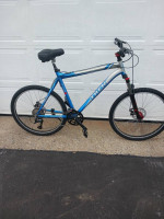 Custom Built bicycle on Trek Frame
