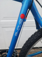 Custom Built bicycle on Trek Frame
