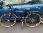 Schwinn