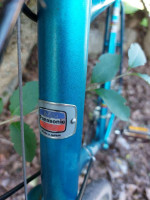 Bicycle 10 speed road