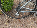 Specialized Dolce Road Bike