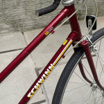 Schwinn World Mixte - Women’s or Men’s