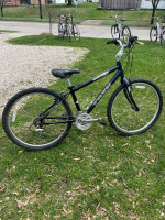 Trek navigator, 300