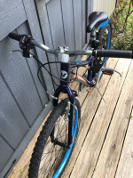 Liv (Giant) Enchant 24” bicycle7