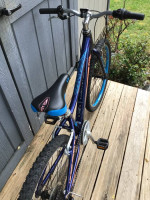 Liv (Giant) Enchant 24” bicycle7