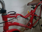 Bike - Aluminum Frame - Momentum by Giant