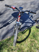 Schwinn Ranger 24" bike