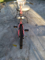 WeeRide Ride-along + Schwinn SmartStart Bike + Scooters