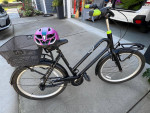 BATAVUS Utility Bike
