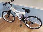 Magna mountain bike