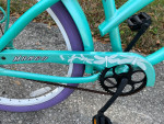 Mango Parrot Beach & Street Cruiser Bike - Dragonfly Dreams Theme