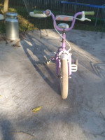 Schwinn SmartStart Bike + WeeRide Ride-along + Scooters