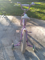 Schwinn SmartStart Bike + WeeRide Ride-along + Scooters