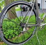 Litespeed Tuscany Titanium Road Bike