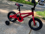 REI COOP REV12