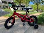REI COOP REV12