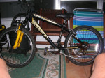 Mountain bike