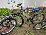 4 bikes need tuning up