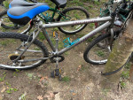 4 bikes need tuning up