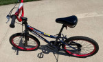 Schwinn Falcon Bike 20 inch kids