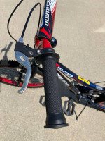 Schwinn Falcon Bike 20 inch kids