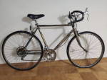 10 Speed Road 26'' Adult Raleigh Bicycle Bike