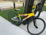 FMF 24” BMX