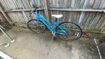 Gaint Escape 24sp Adult Bike