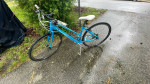 Gaint Escape 24sp Adult Bike
