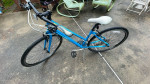 Gaint Escape 24sp Adult Bike