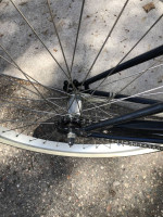 Super clean Trek Cruiser bike
