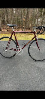 Restored Specialized Allez Comp - Campi