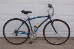 Specialized Crossroads Medium Mens Frame in Blue