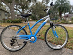 Aluminum Framed Hybrid Comfort Bike - Next "Avalon CS"