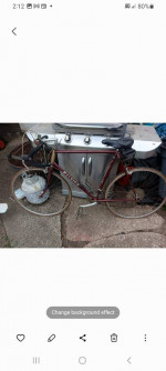 Vintage Raleigh Olympian
