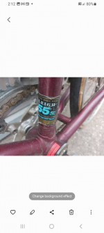 Vintage Raleigh Olympian
