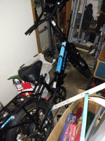 Lectric E bike