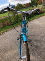 Electra (Trek) Cruiser Bike