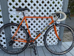 Colnago