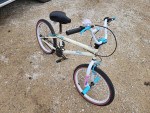 20 inch bike