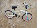 20 inch bike