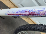 Columbia Trailhead Sport Mountain bike