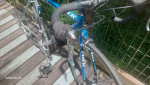 Trek Lance Armstrong Replica Bike