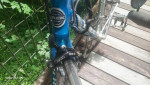 Trek Lance Armstrong Replica Bike
