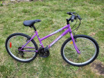 Women's or girls bike