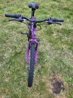 Women's or girls bike