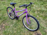 Women's or girls bike
